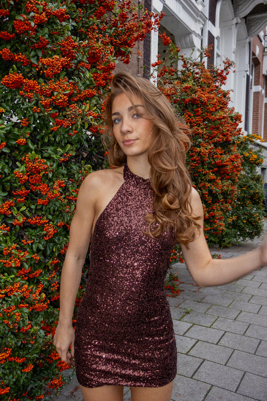 Chocolate glitter dress